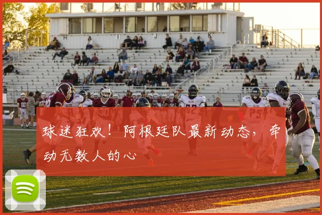 球迷狂欢！阿根廷队最新动态，牵动无数人的心